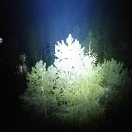 nocne_lety_dronom
