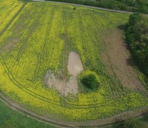 SELEKTÍVNA CIELENÁ APLIKÁCIA V POĽNOHOSPODÁRSTVE S POMOCOU DRONOV