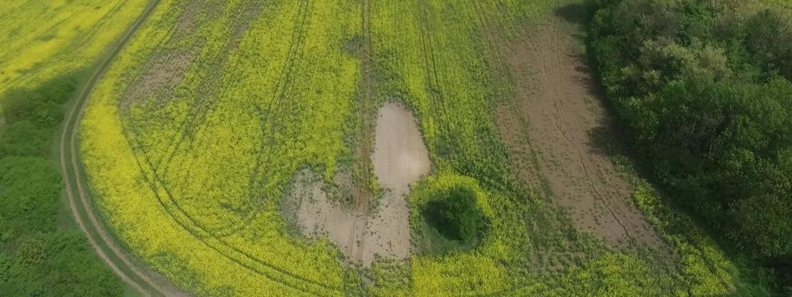 SELEKTÍVNA CIELENÁ APLIKÁCIA V POĽNOHOSPODÁRSTVE S POMOCOU DRONOV